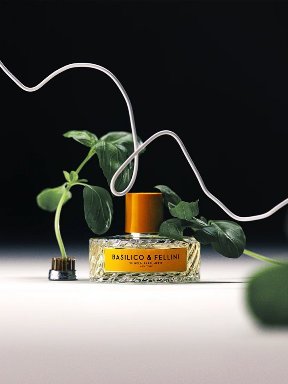 Basilico & Fellini Perfume - Vilhelm parfumerie